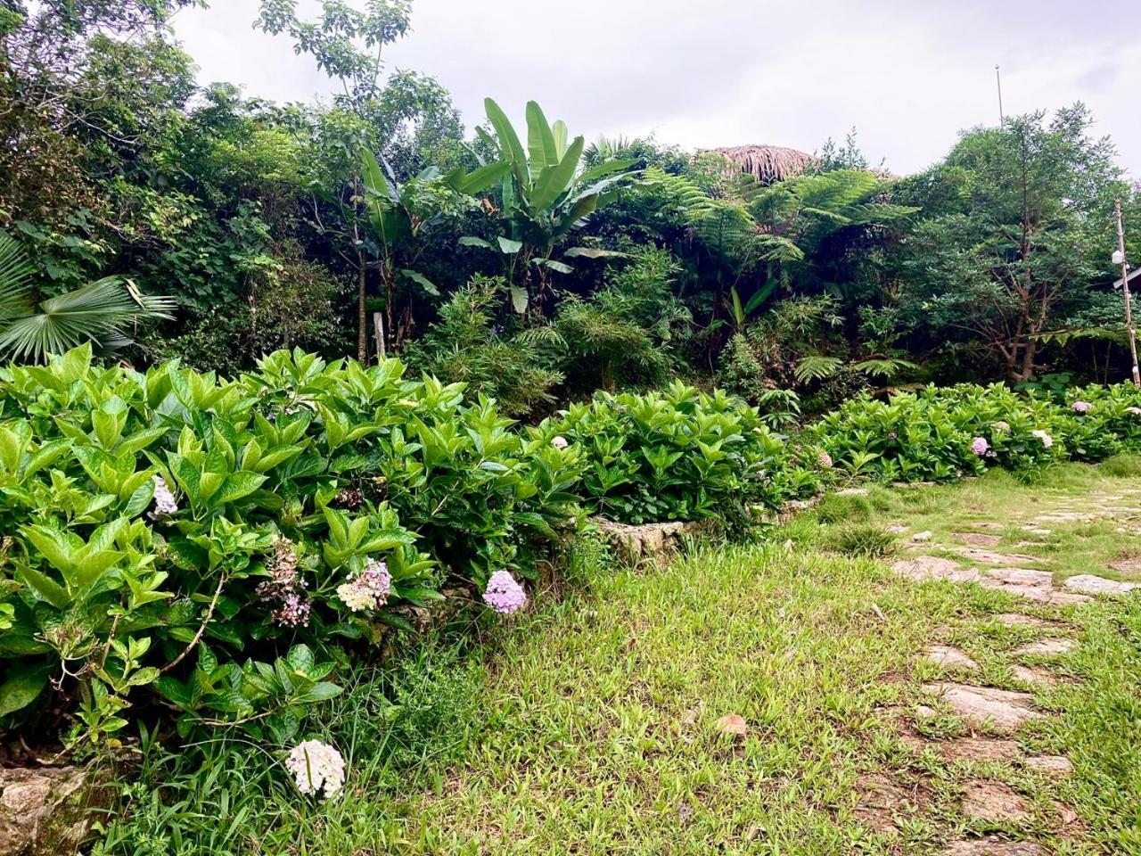 Tvpalm Ecolodge Hà Giang Eksteriør billede