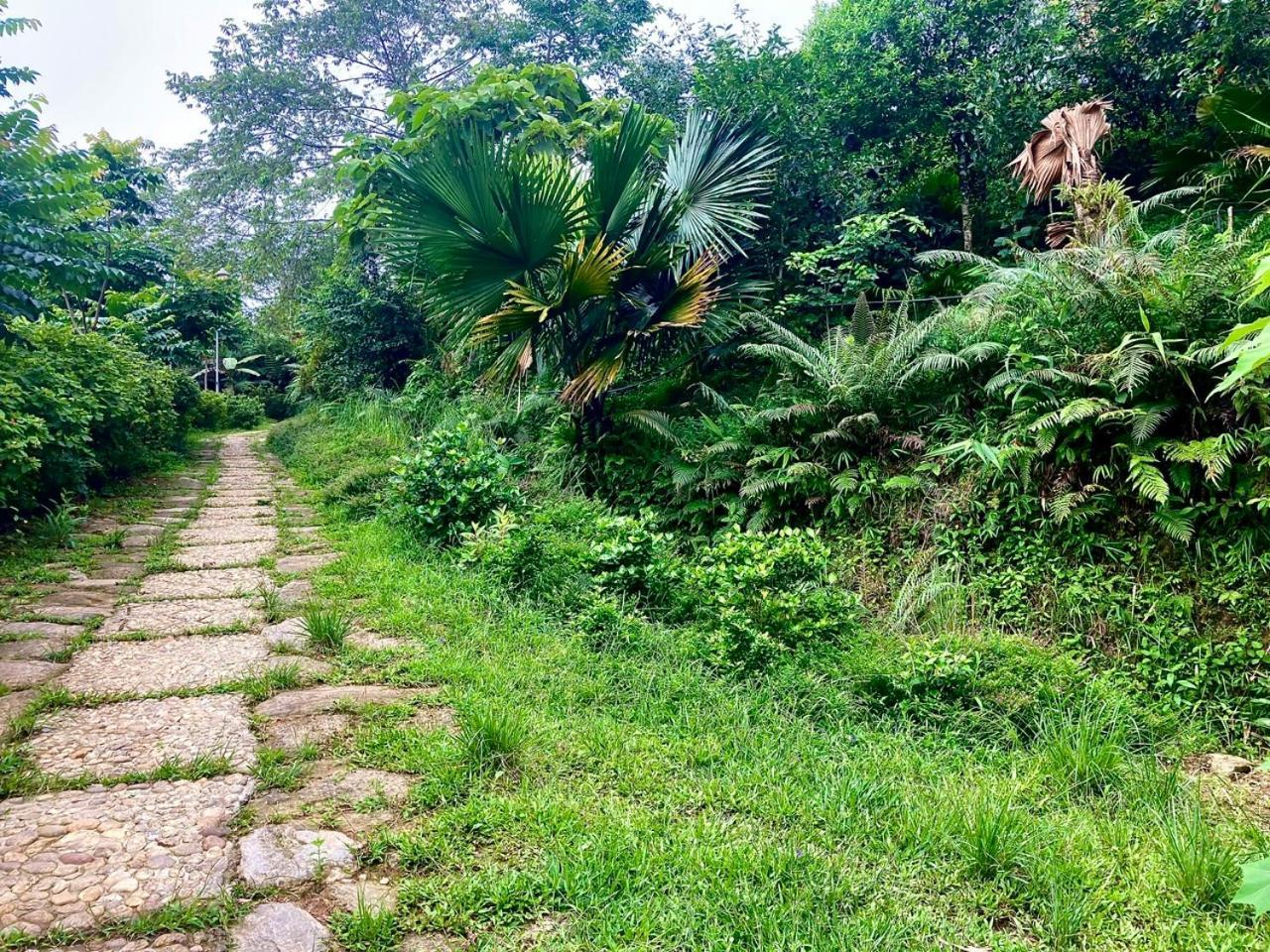 Tvpalm Ecolodge Hà Giang Eksteriør billede