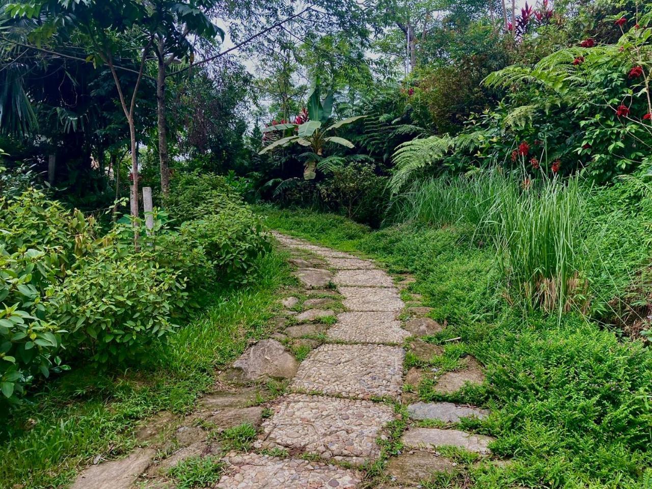 Tvpalm Ecolodge Hà Giang Eksteriør billede